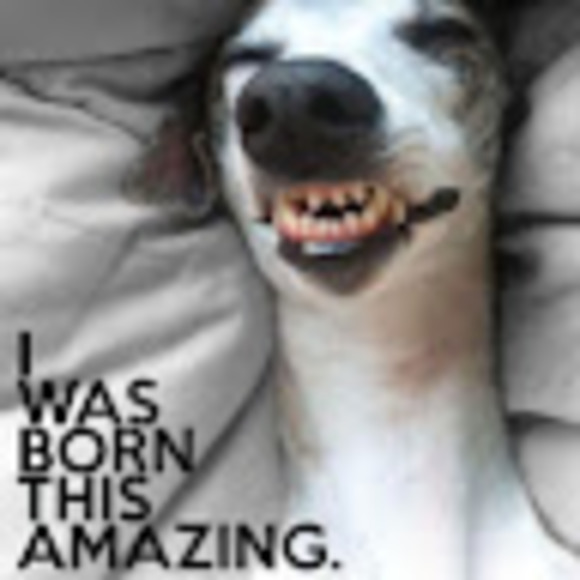 Meet your Posher, Debbie - Picture 1 of 1